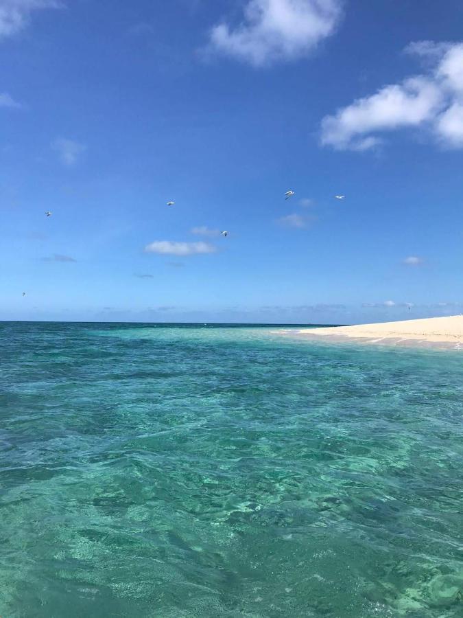 فندق Le Chissioua Sada المظهر الخارجي الصورة